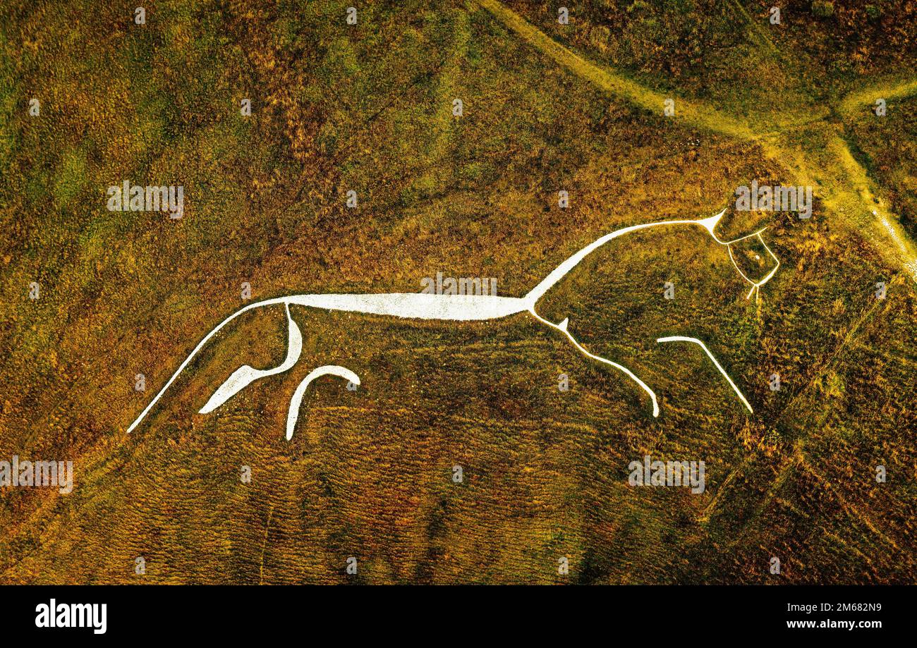 Uffington White Horse. 3500 year prehistoric chalk figure carved into a chalk hillside of the Berkshire Downs, England. 110 meters long Stock Photo