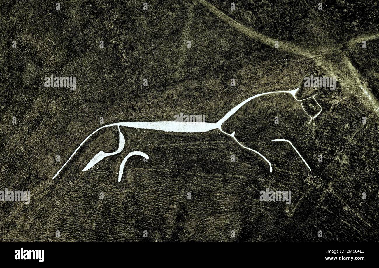 Uffington White Horse. 3500 year prehistoric chalk figure carved into a chalk hillside of the Berkshire Downs, England. 110 meters long Stock Photo