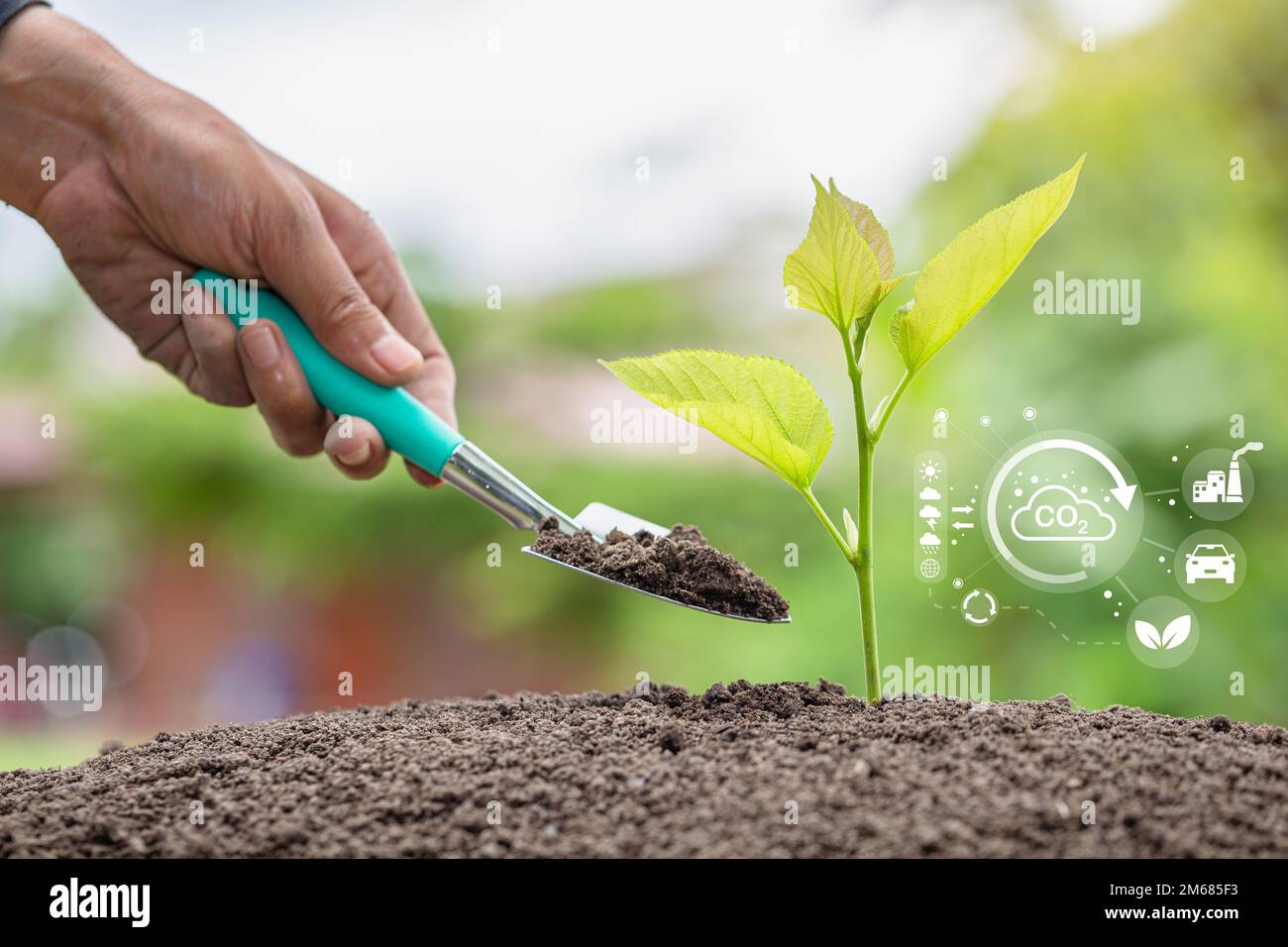 Hand planting trees with technology of renewable resources to reduce pollution. ESG icon concept