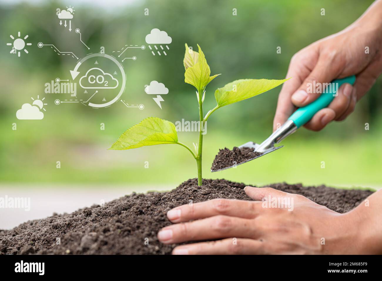 Technology environment, Hand planting trees with technology of
