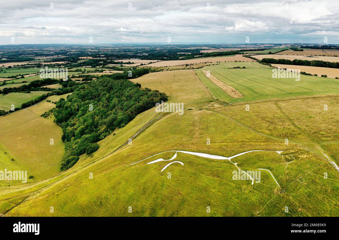 Uffington White Horse. 3500 year prehistoric chalk figure carved into a chalk hillside of the Berkshire Downs, England. 110 meters long. Looking east Stock Photo
