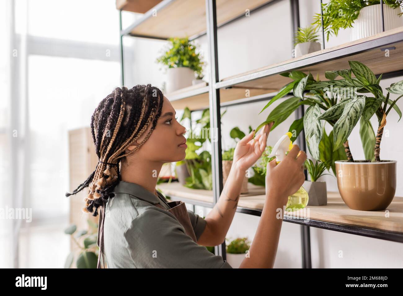 Black woman spraying braids hi-res stock photography and images - Alamy