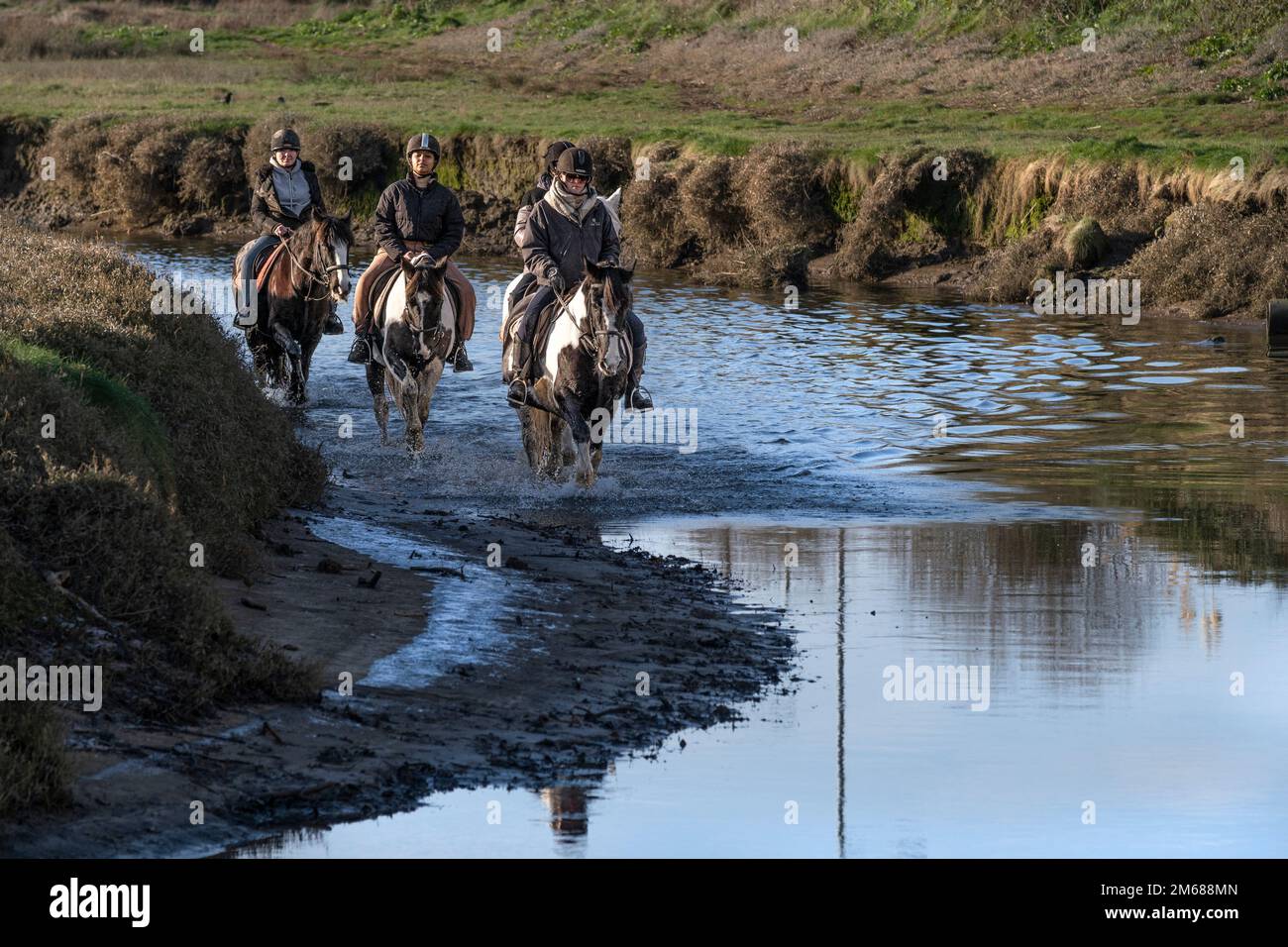Horse riders riding along the Gannel River in Newquay in Cornwall in