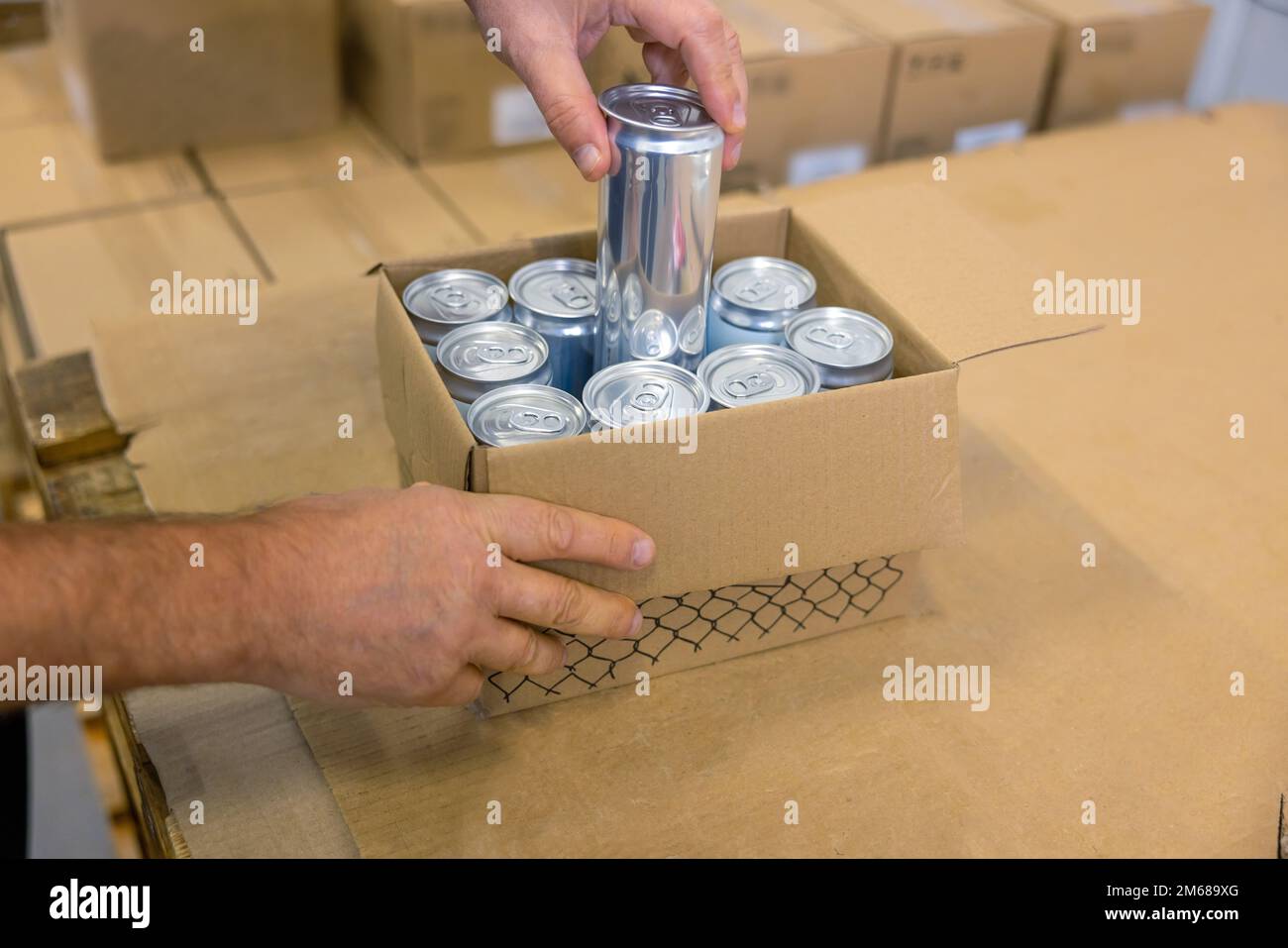 Experienced factory worker packing canned drinks for delivery Stock
