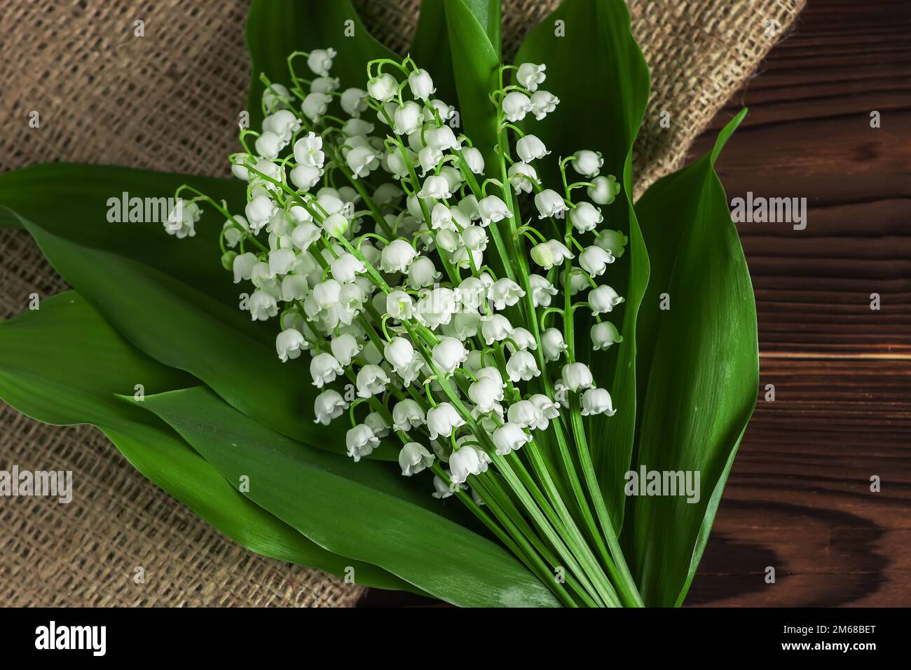 Small and fragrant spring flowers. Bouqet of lily of the valley flowers ...