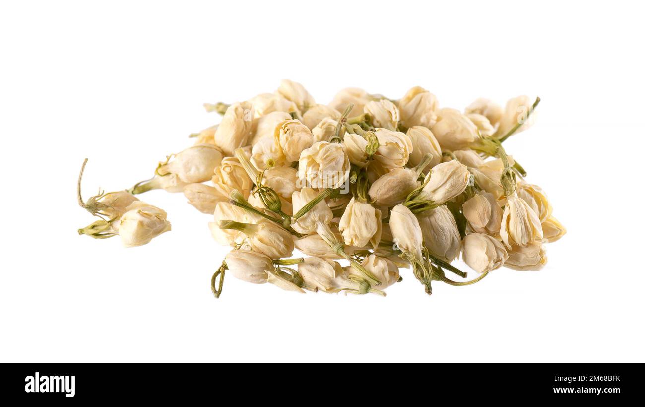 Dry jasmine flowers isolated on white background. Jasmine flowers tea