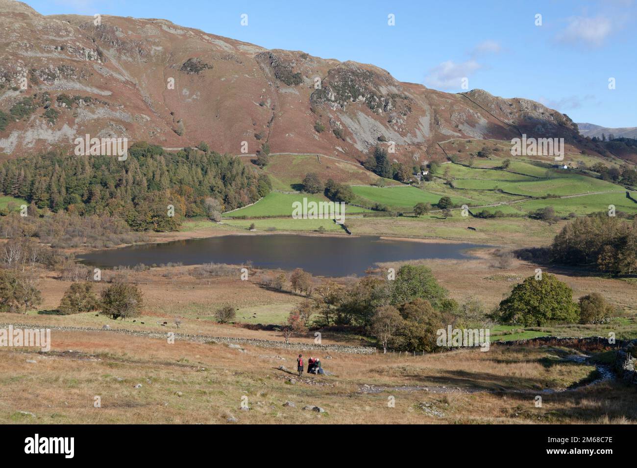 Little Langdale Tarn and Valley in the Lake District Stock Photo