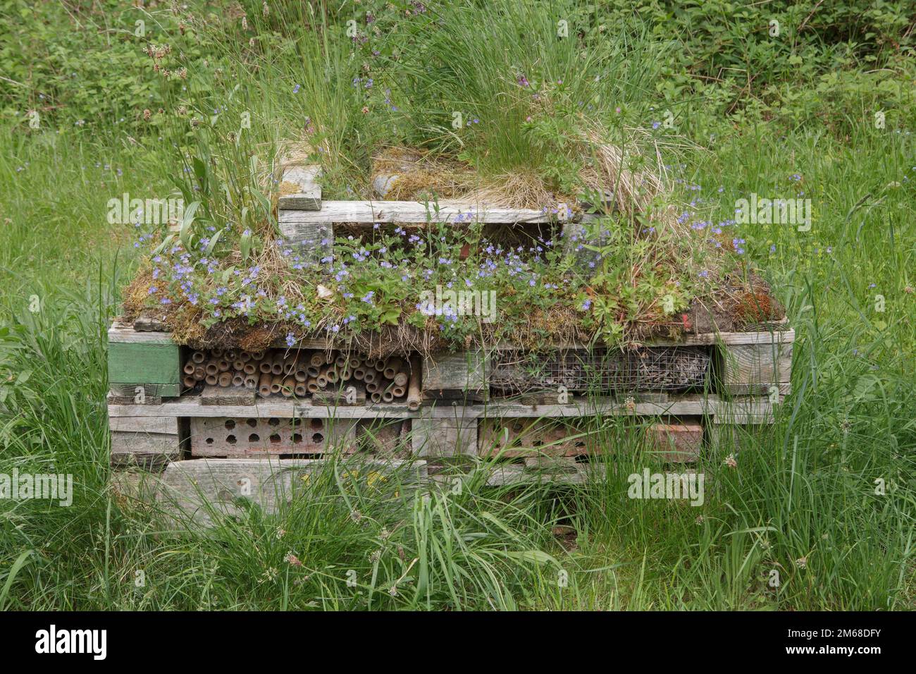 A man made habitat for insects and wildlife, often called a bug hotel, made from wooden pallets and old bricks Stock Photo