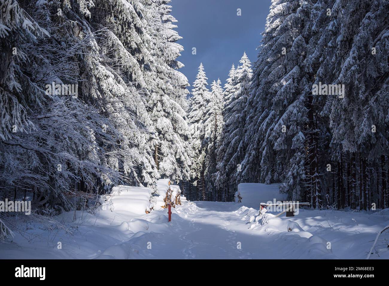 Landscape In Winter In Thuringian Forest Near Schmiedefeld Am Rennsteig. Stock Photo