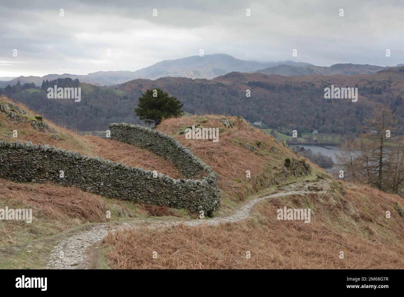 The footpath on Grey Crag leading from Alcock Tarn down to Grasmere. Lake District Stock Photo