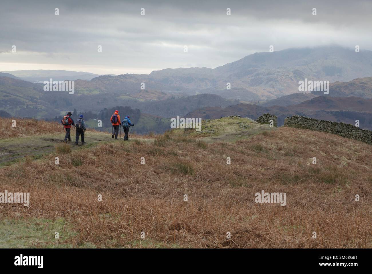 Four walkers leaving Alcock Tarn to the descent down to Grasmere Stock Photo