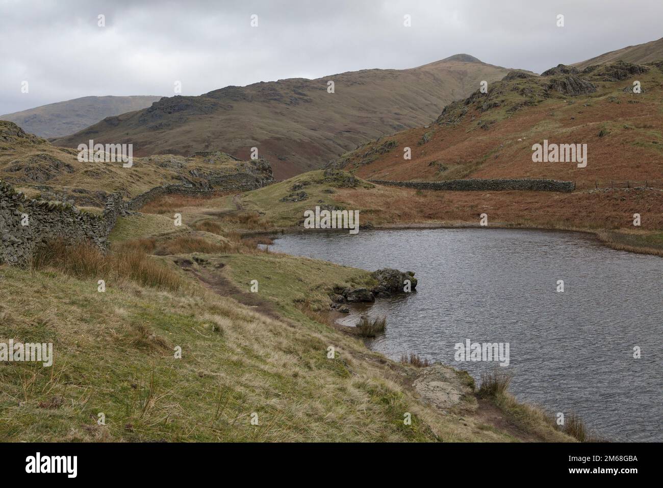 Alcock Tarn is a high mountain tarn and a short walk from Grasmere in the Lake District Stock Photo