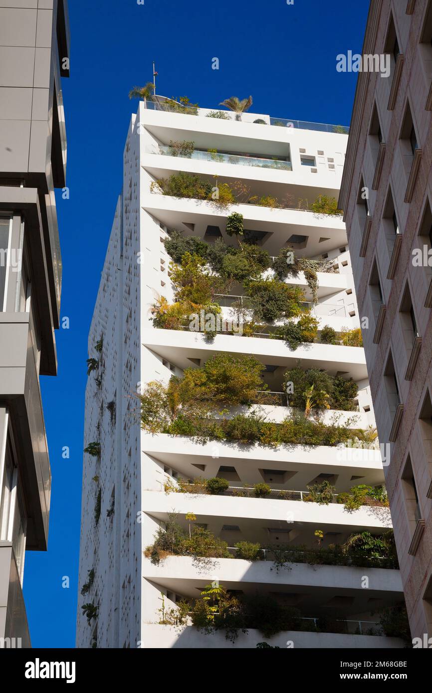 High rise tower block, living with balcony gardens Stock Photo Alamy