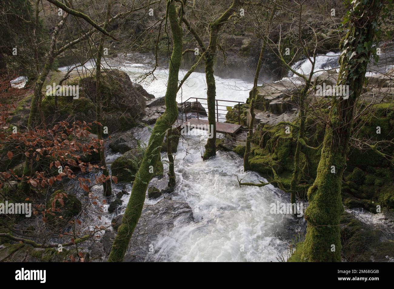The River Brathay drops over Skelwith Force Waterfall in the lake District Stock Photo