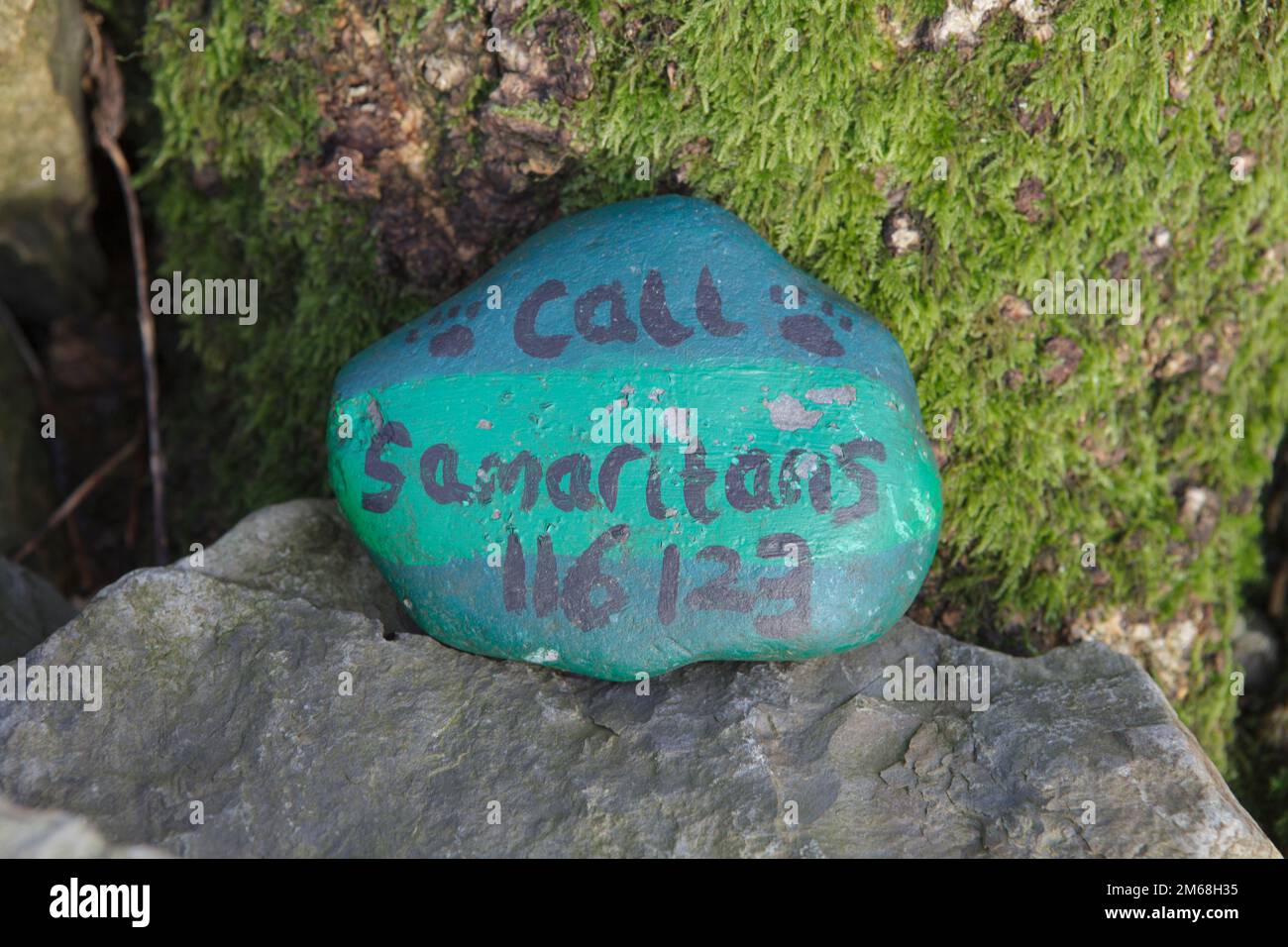 A painted stone with the telephone number of the Samaritans which was placed under a lone oak tree above Windermere Stock Photo