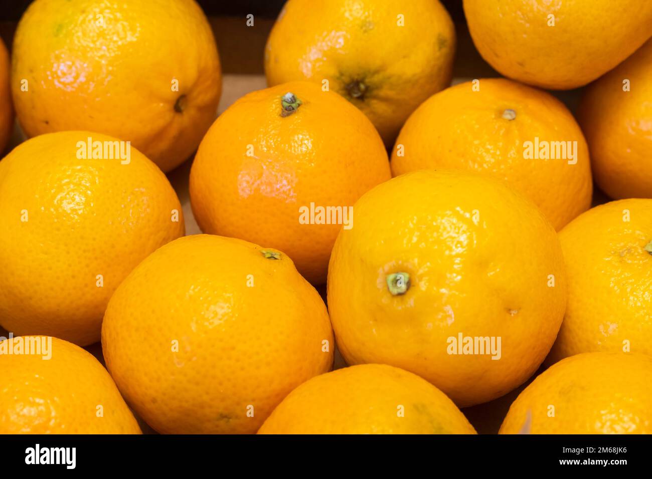 A box of Clementines, also known as easy peelers Stock Photo Alamy