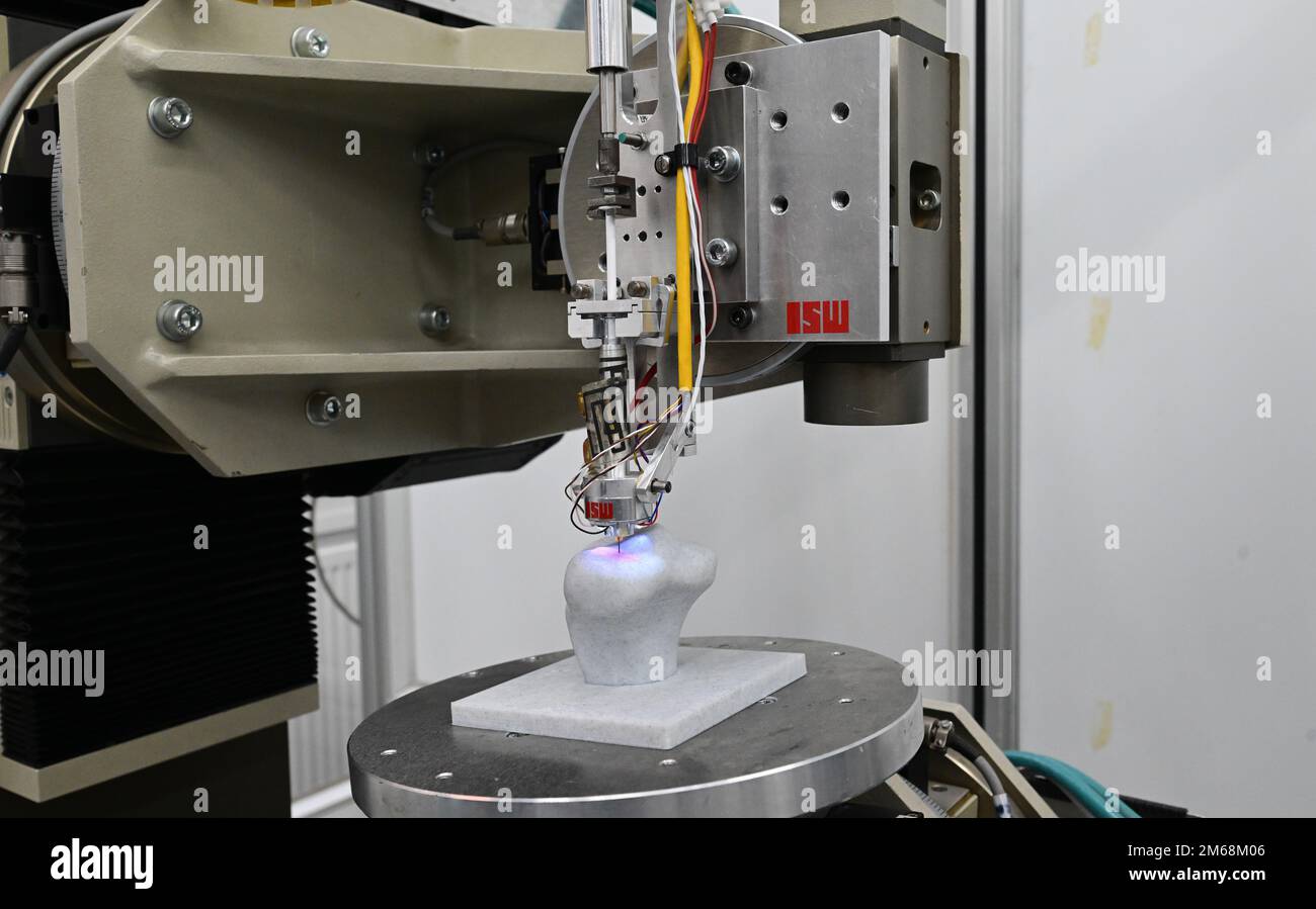 Cartilage tissue hires stock photography and images Alamy