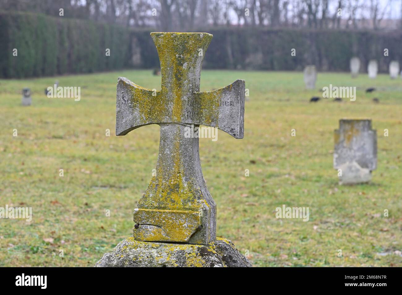 Vienna, Austria. Vienna Central Cemetery. Military cemetery at the central cemetery in Vienna Stock Photo