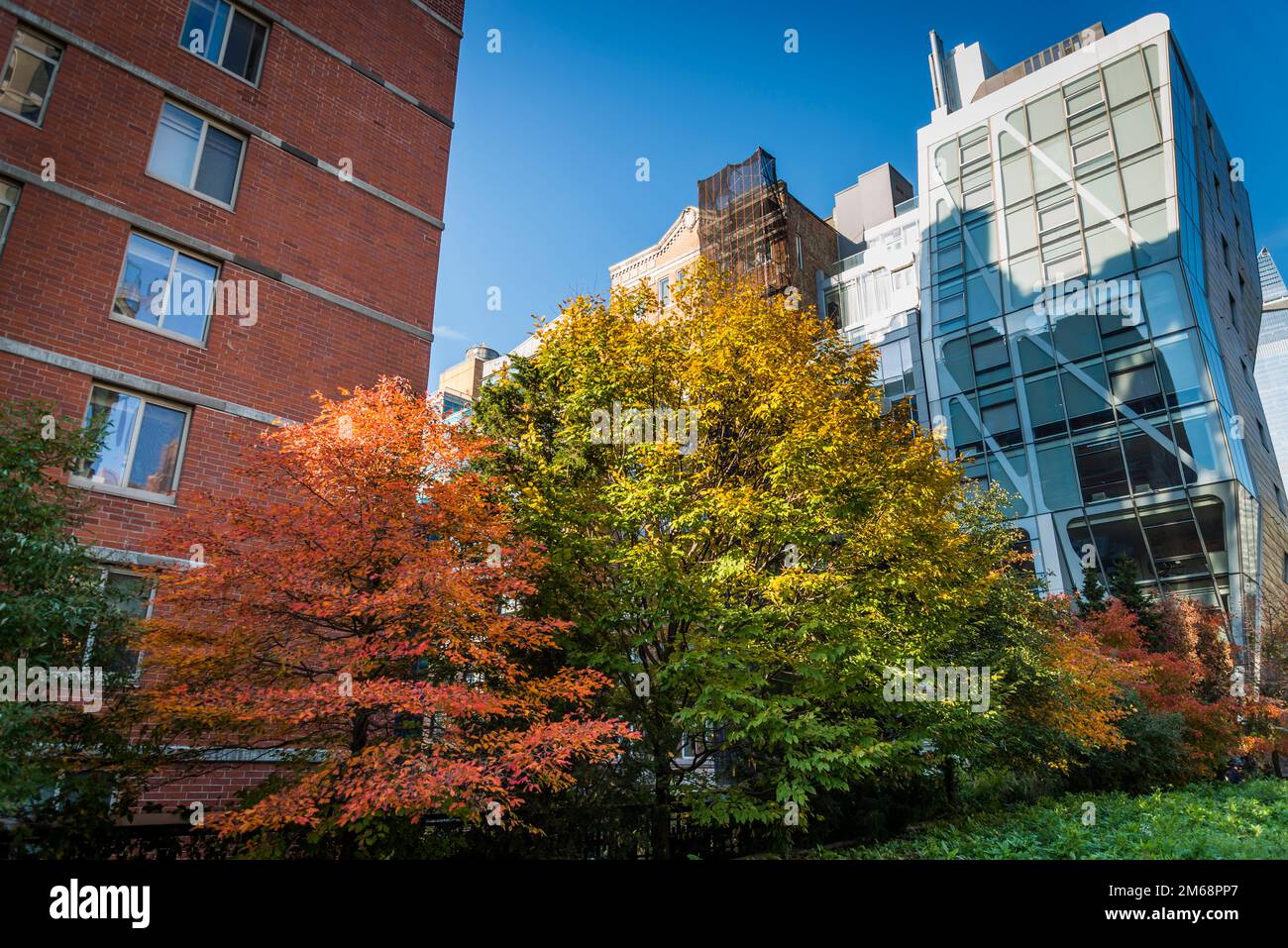 The High Line, a 1.45-mile-long elevated linear park, greenway and rail trail created on a former New York Central Railroad spur on the west side of M Stock Photo