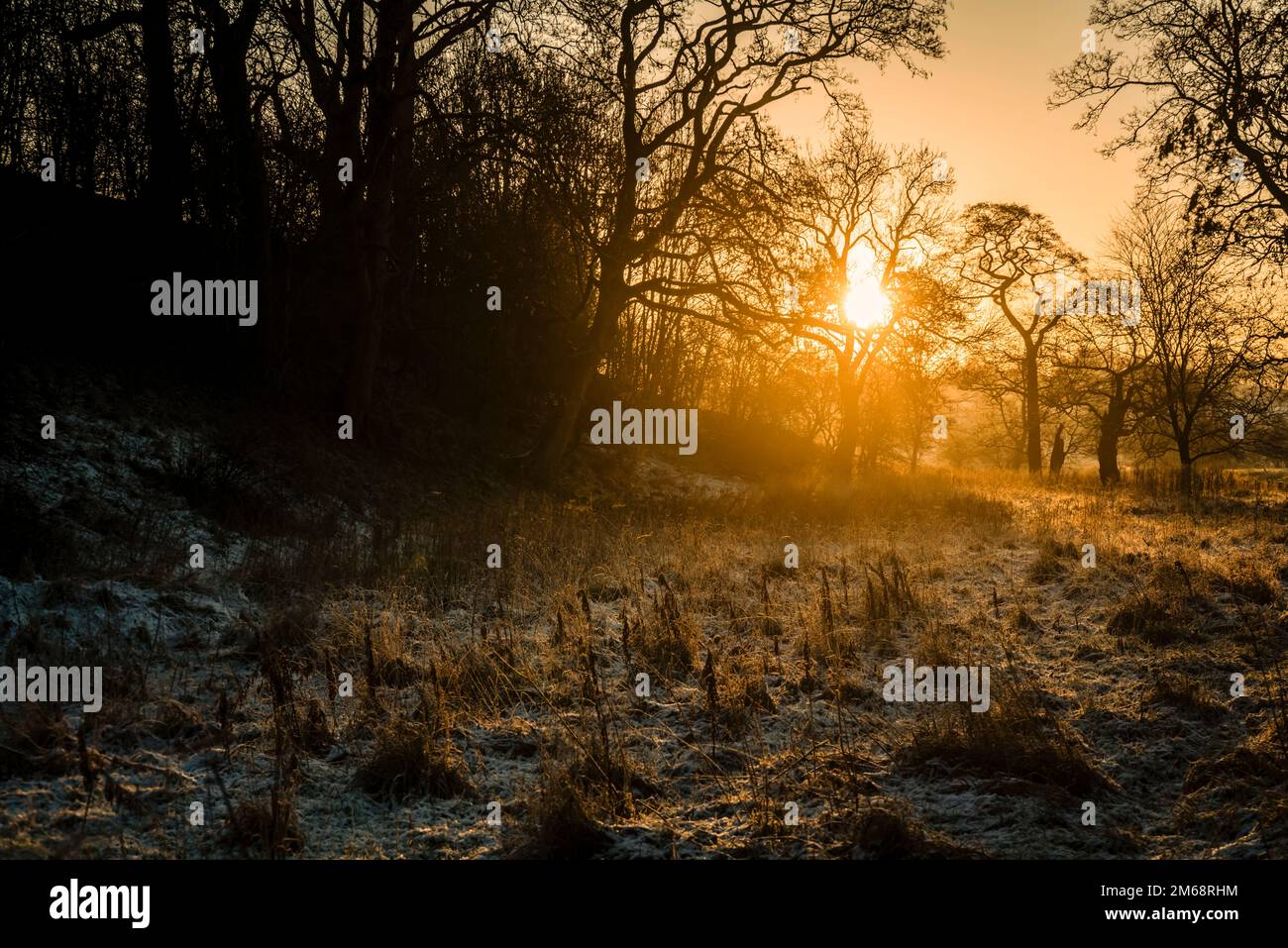 Setting winter sun, Ribble Valley, Lancashire, UK. Stock Photo