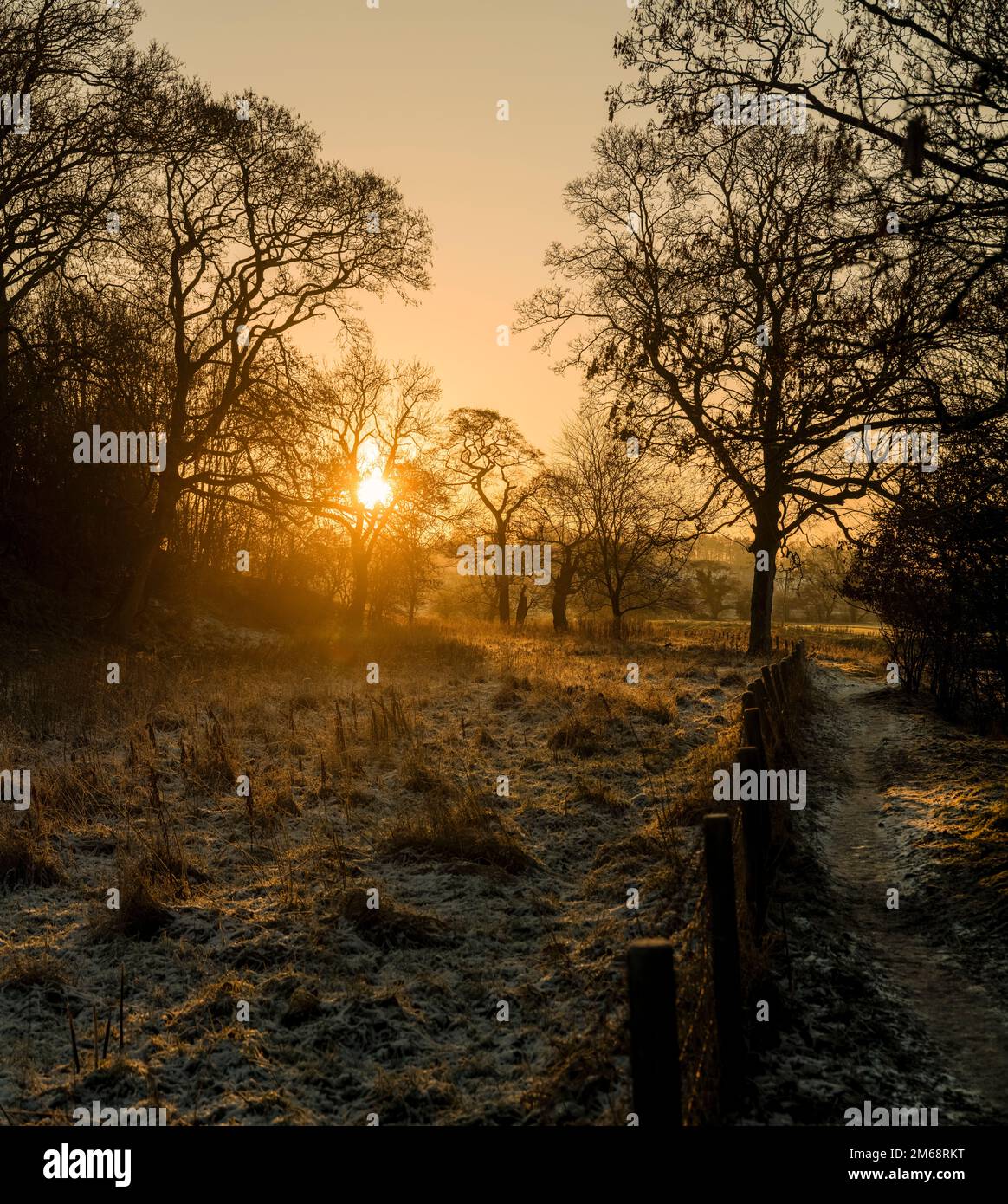 Setting winter sun, Ribble Valley, Lancashire, UK. Stock Photo