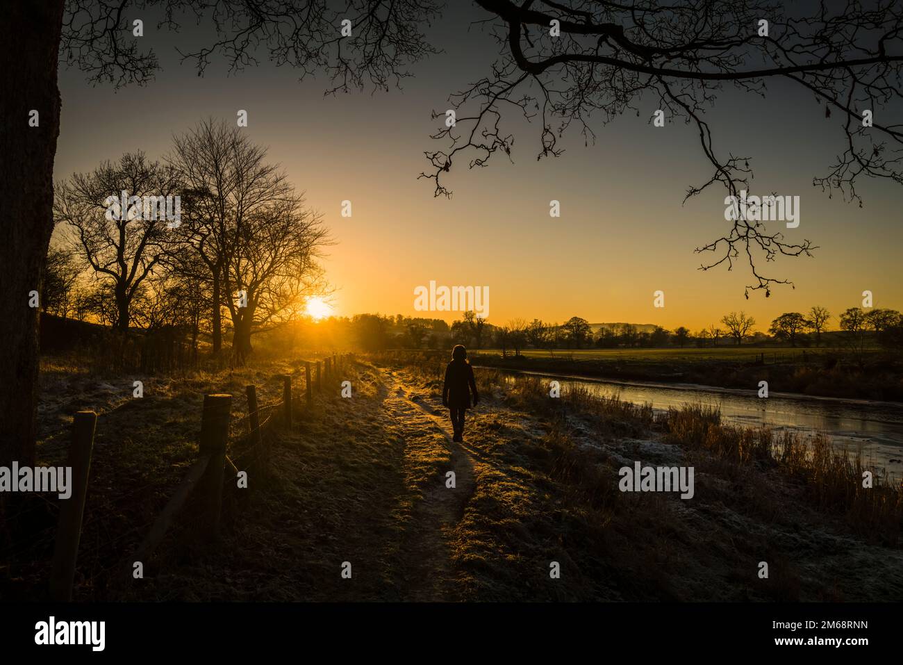 Woman walking along the bank of the River Ribble at sunset  close to Clitheroe, Lancashire, UK. Stock Photo