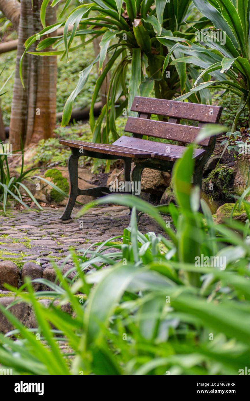 Park rain lawn hi-res stock photography and images - Alamy