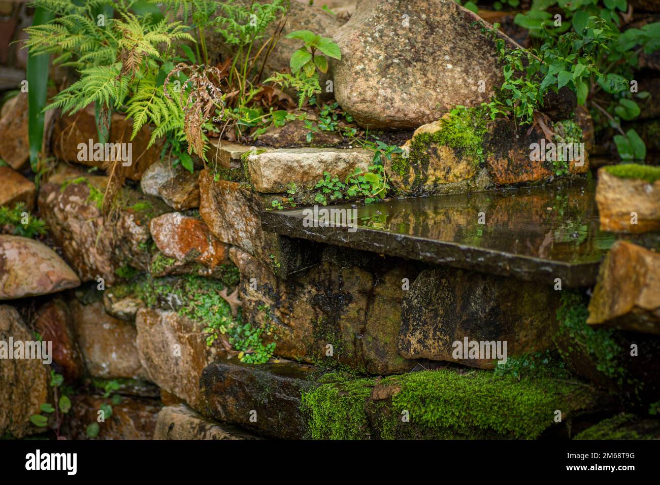 moss on rocks near creek with water feature in garden Stock Photo