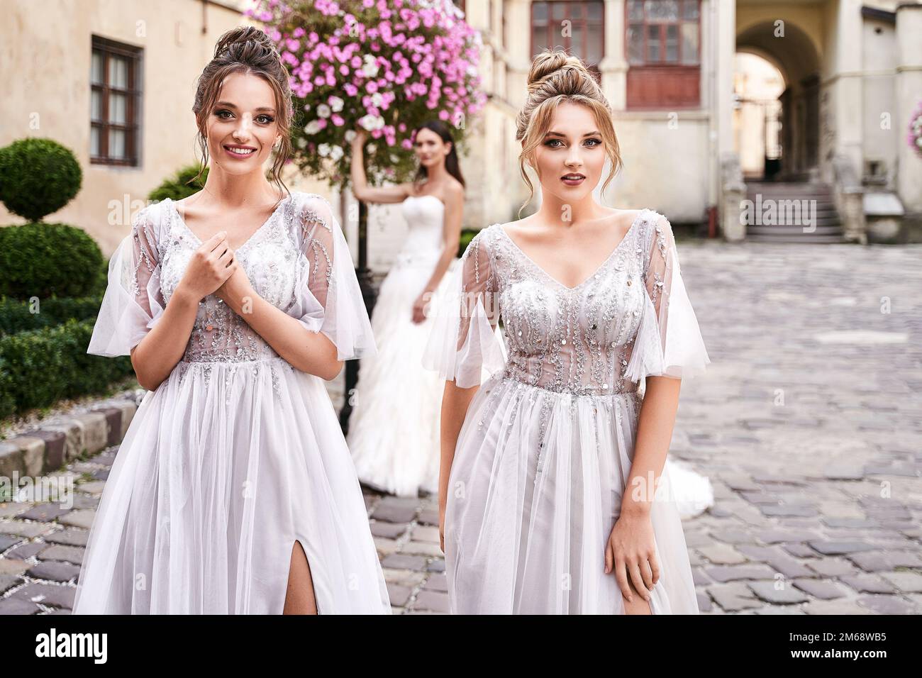 Beautiful bride and bridesmaids in gorgeous elegant stylish light grey ...
