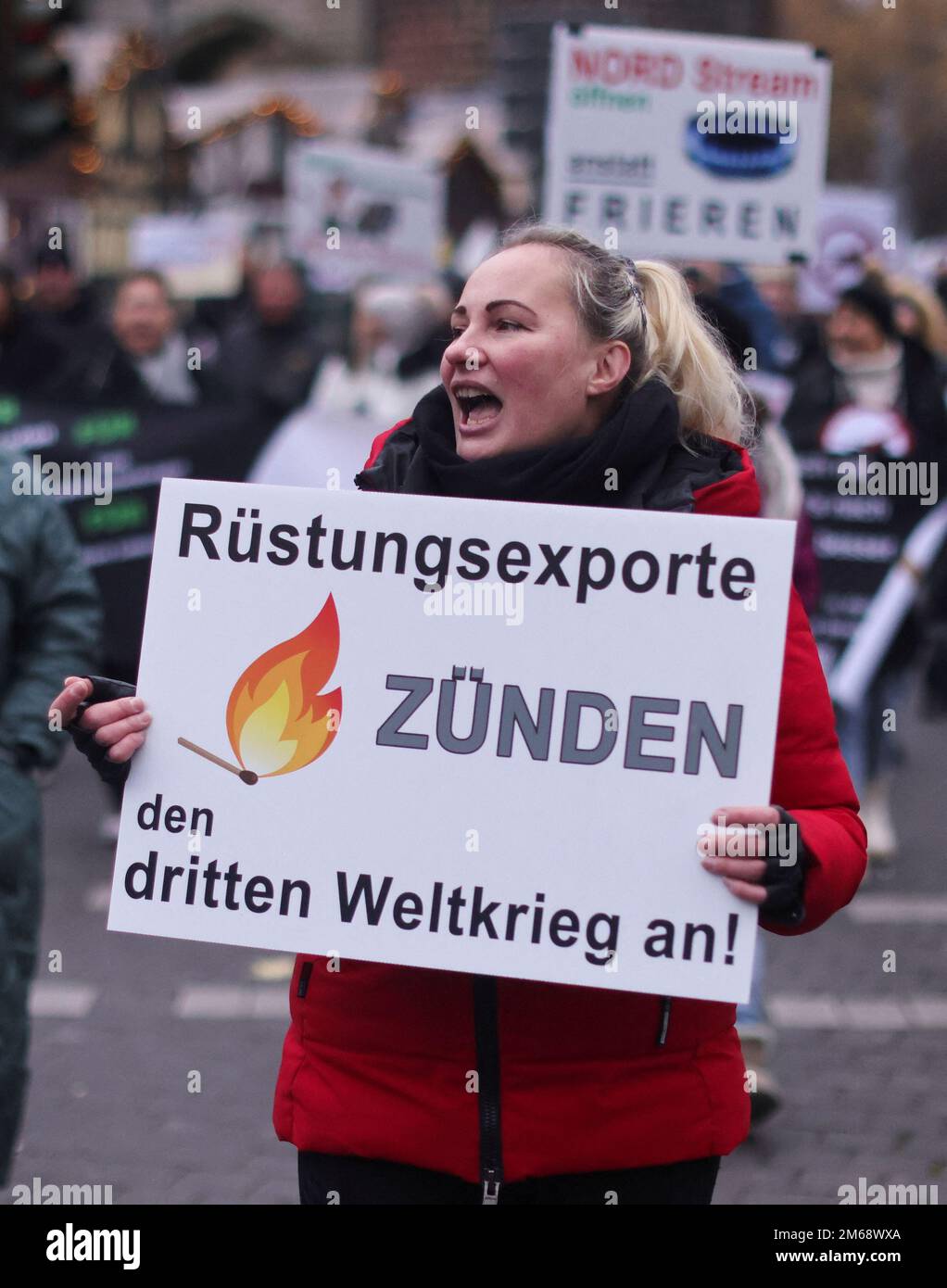 Elena Kolbasnikova, an organiser and leader of pro-Russia rallies, and ...