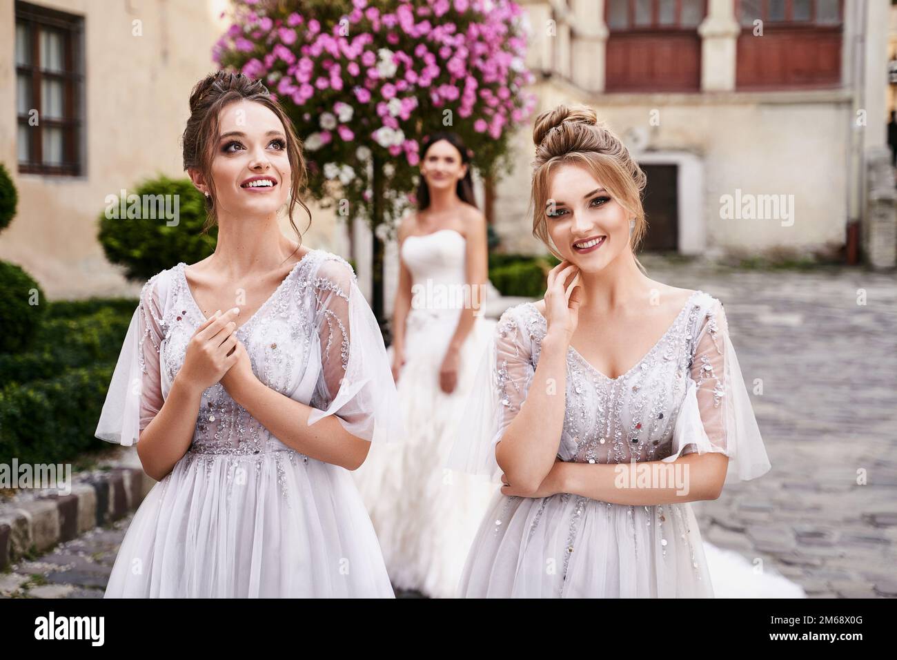 Beautiful bride and bridesmaids in gorgeous elegant stylish light grey ...