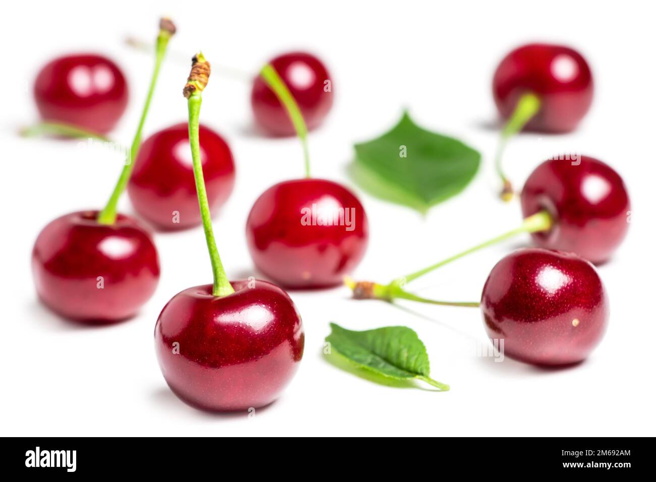 Cherry isolated. Sour cherry. Cherries with leaves on white background