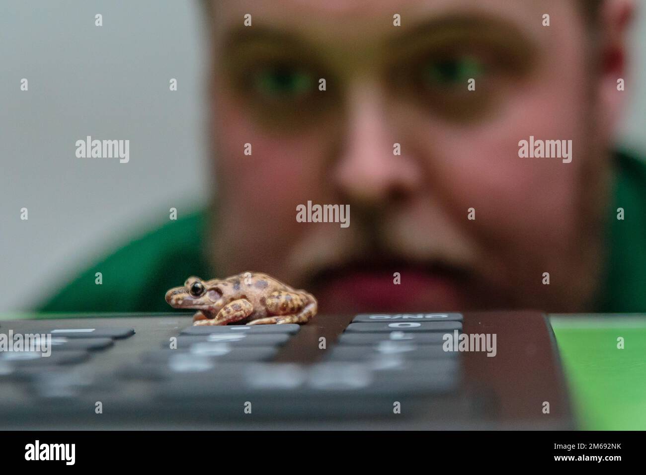 ZSL London Zoo, UK. 3rd January 2023. Zookeepers at ZSL London Zoo