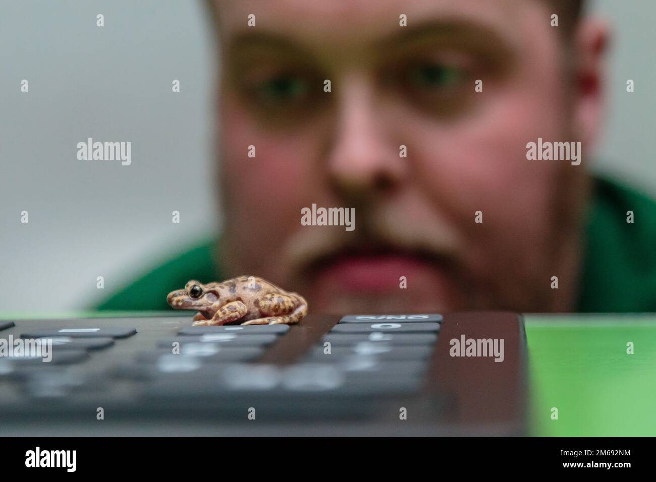 ZSL London Zoo, UK. 3rd January 2023. Zookeepers at ZSL London Zoo