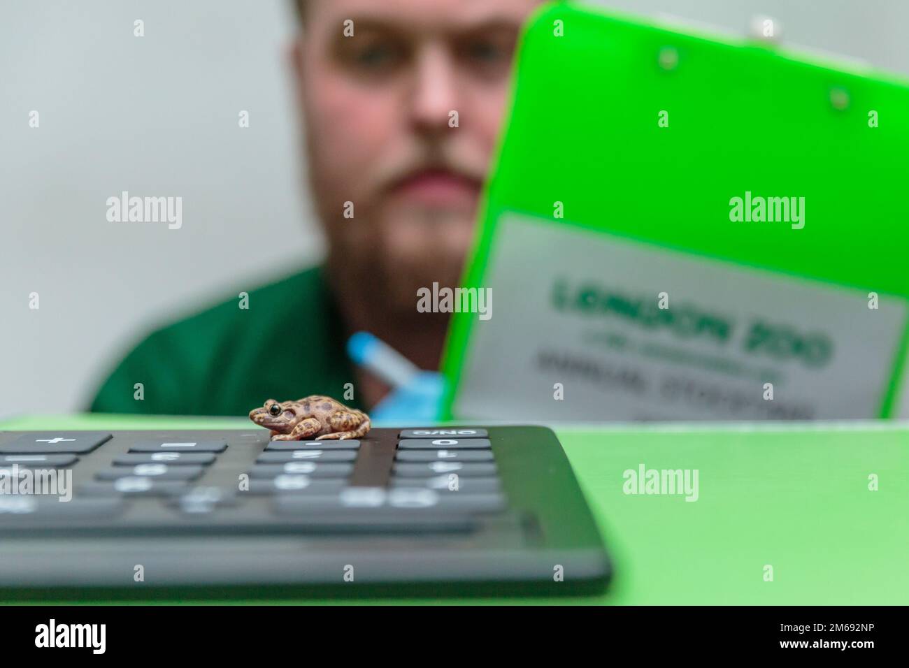 ZSL London Zoo, UK. 3rd January 2023. Zookeepers at ZSL London Zoo