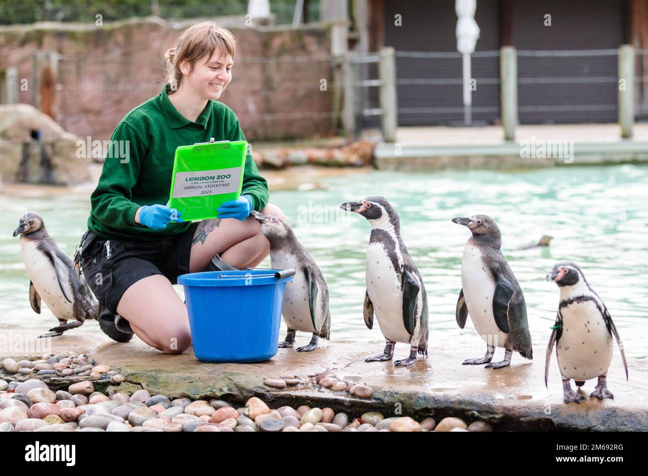 ZSL London Zoo, UK. 3rd January 2023. Zookeepers at ZSL London Zoo