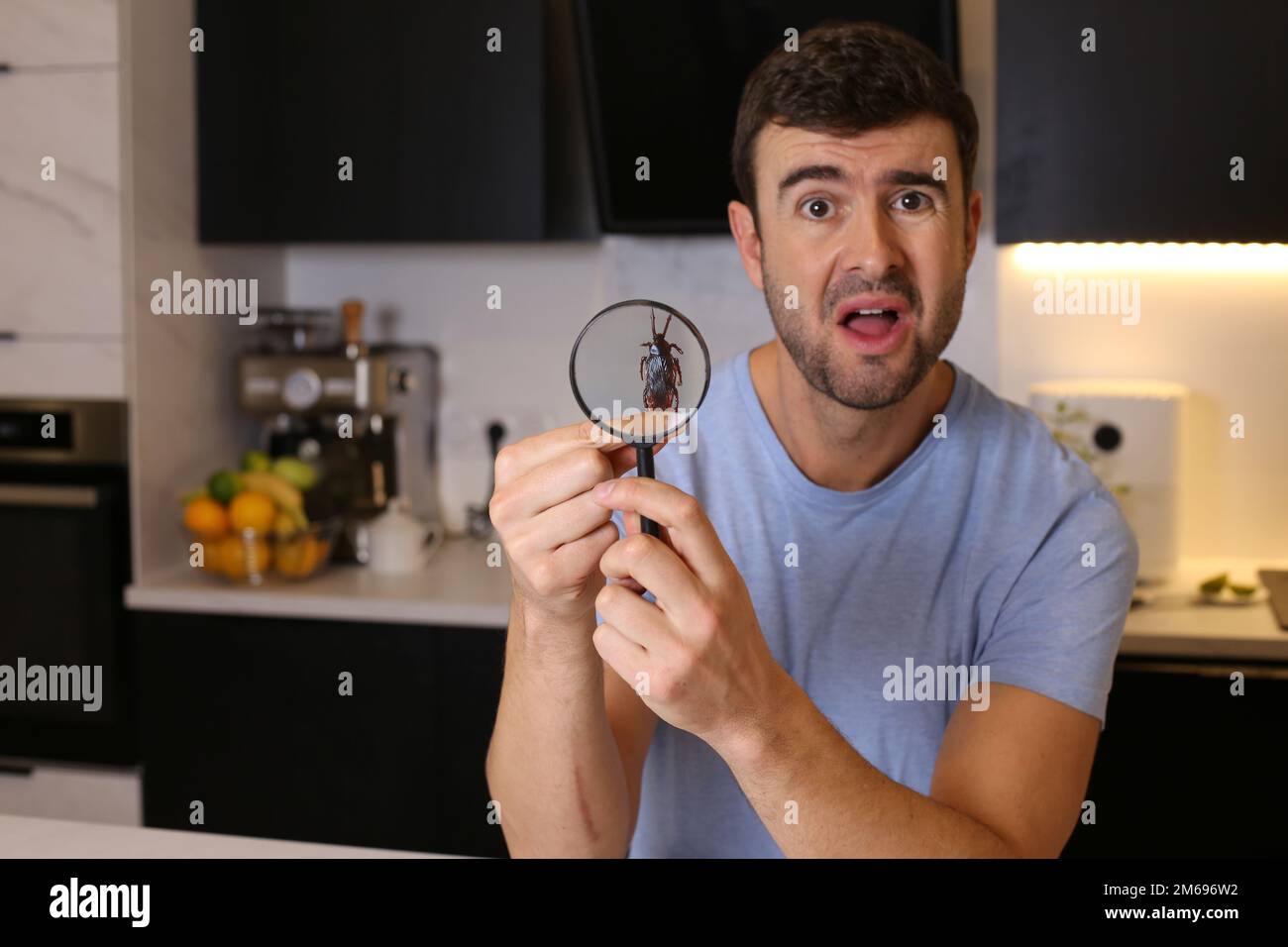 Shocked man observing a cockroach through magnifying glass Stock Photo ...