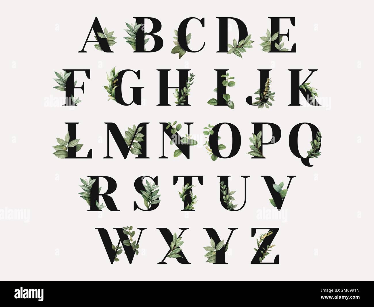 Botanical capital alphabet collection vector Stock Vector Image & Art ...