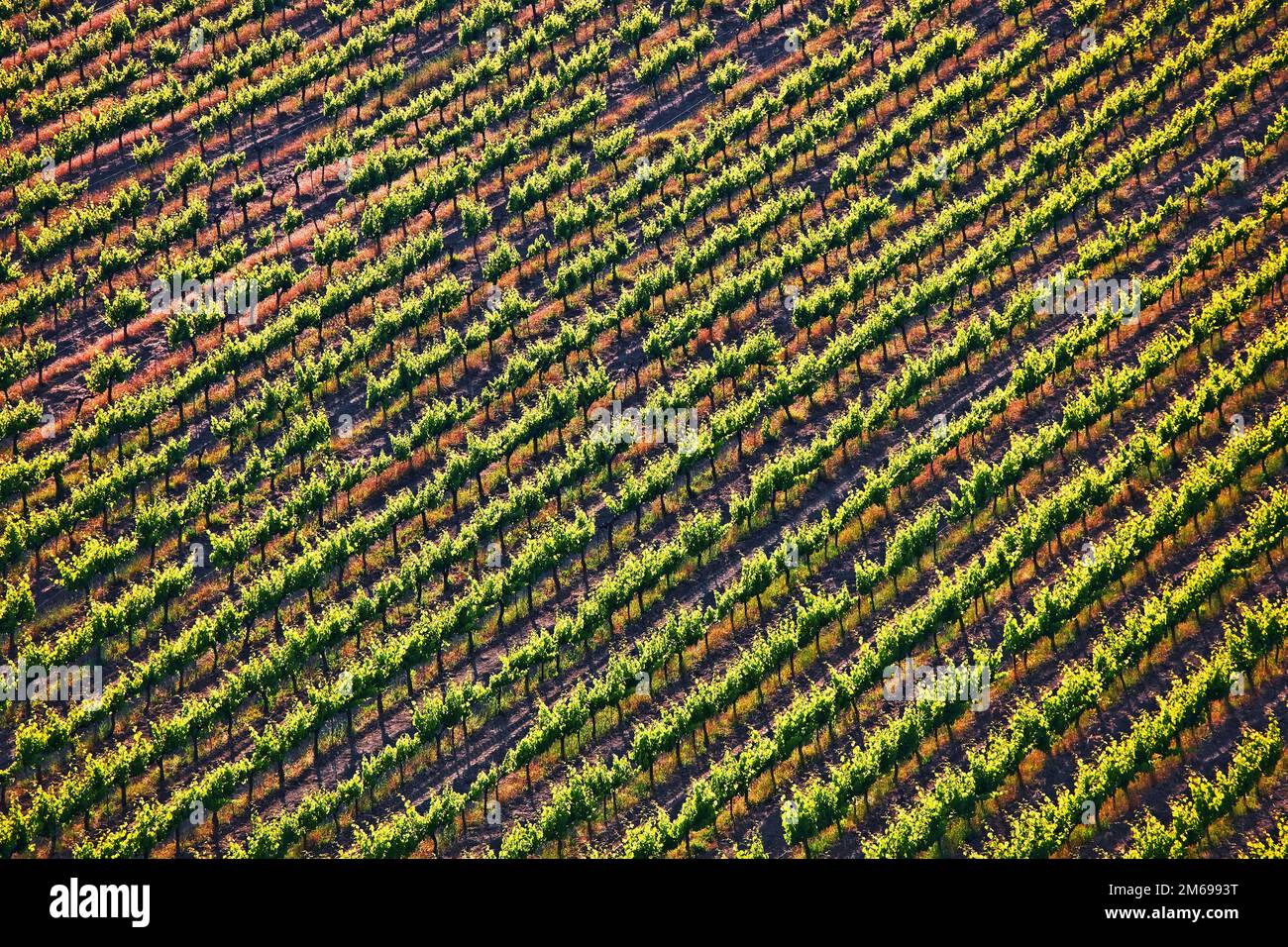Rows of structures hi-res stock photography and images - Alamy