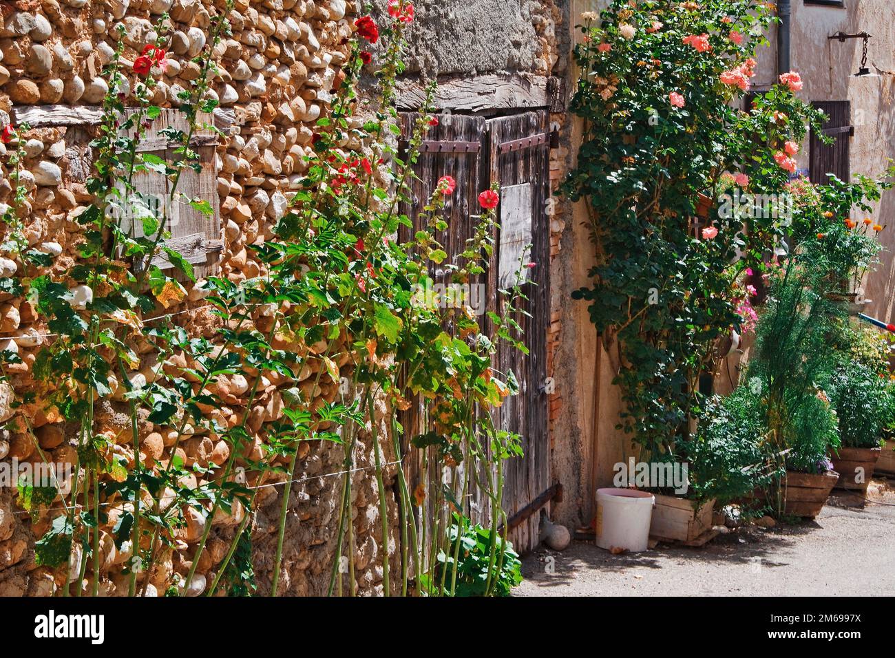 Bluehende provencalic Fassade Stock Photo