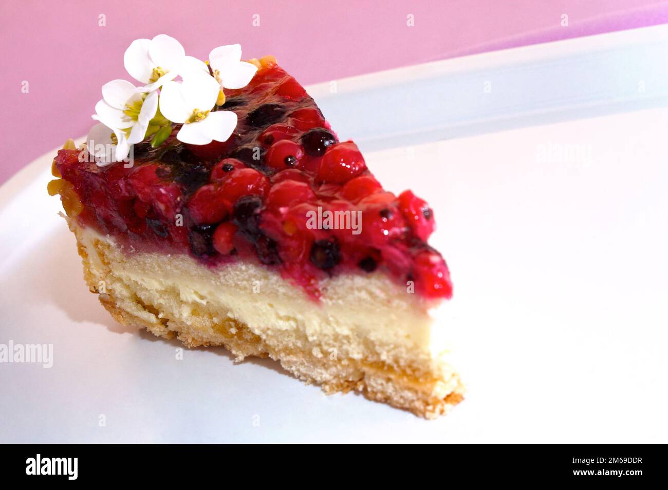 Fruit cake slice Stock Photo