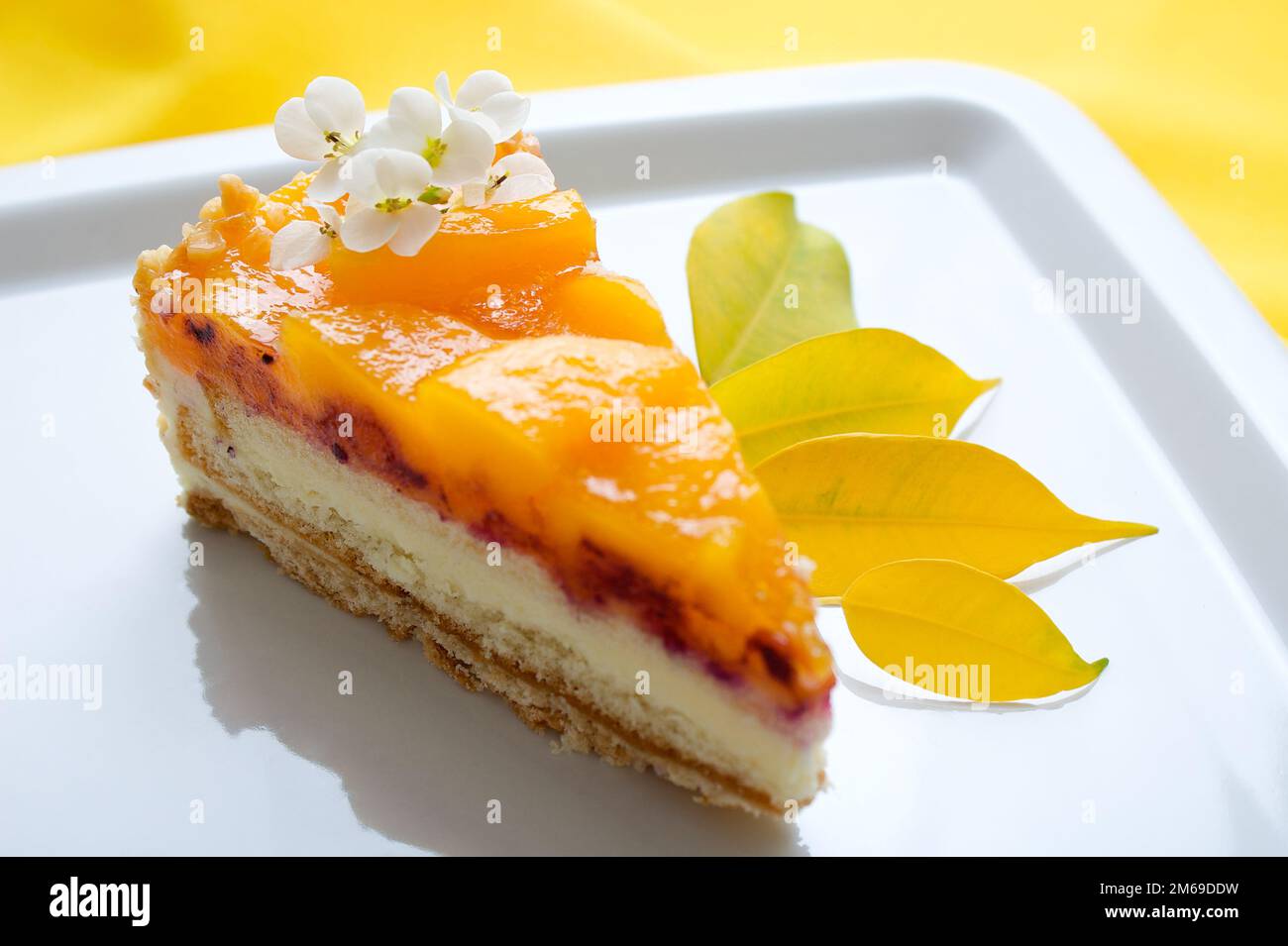 Fruit cake slice Stock Photo