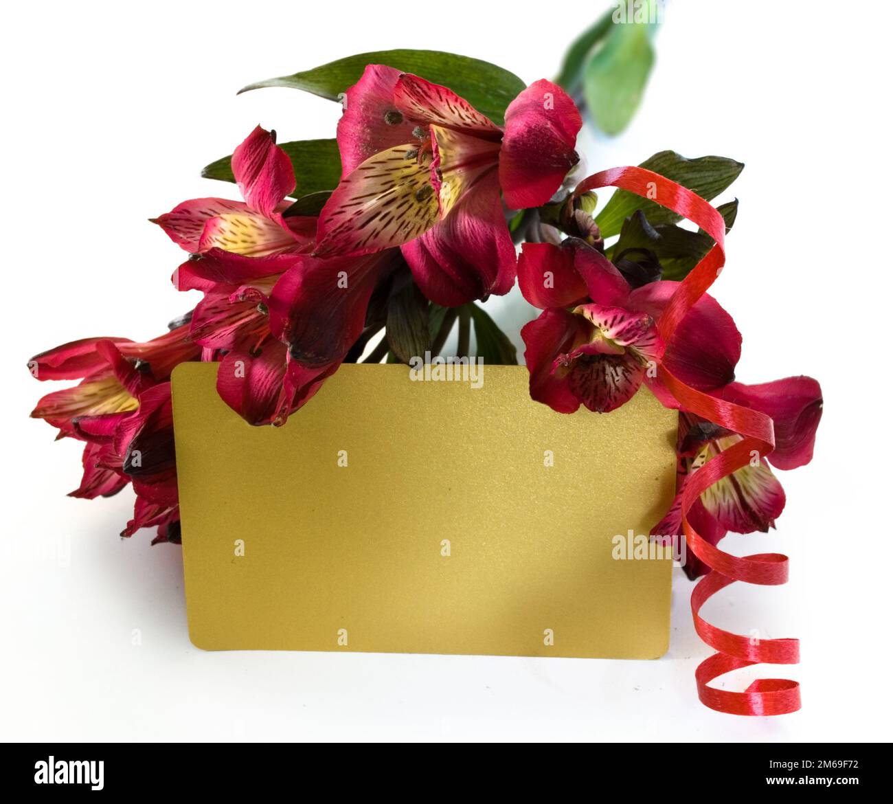 Gift card with flowers Stock Photo Alamy