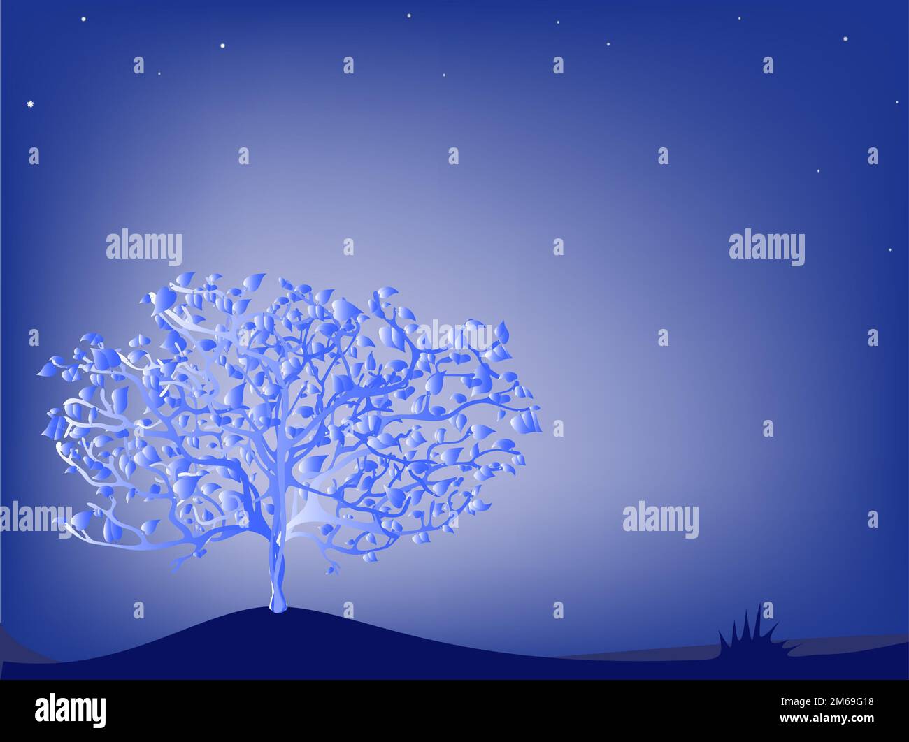 Tree Vectorat Night Vector drawing tree hi-res stock photography and images - Alamy