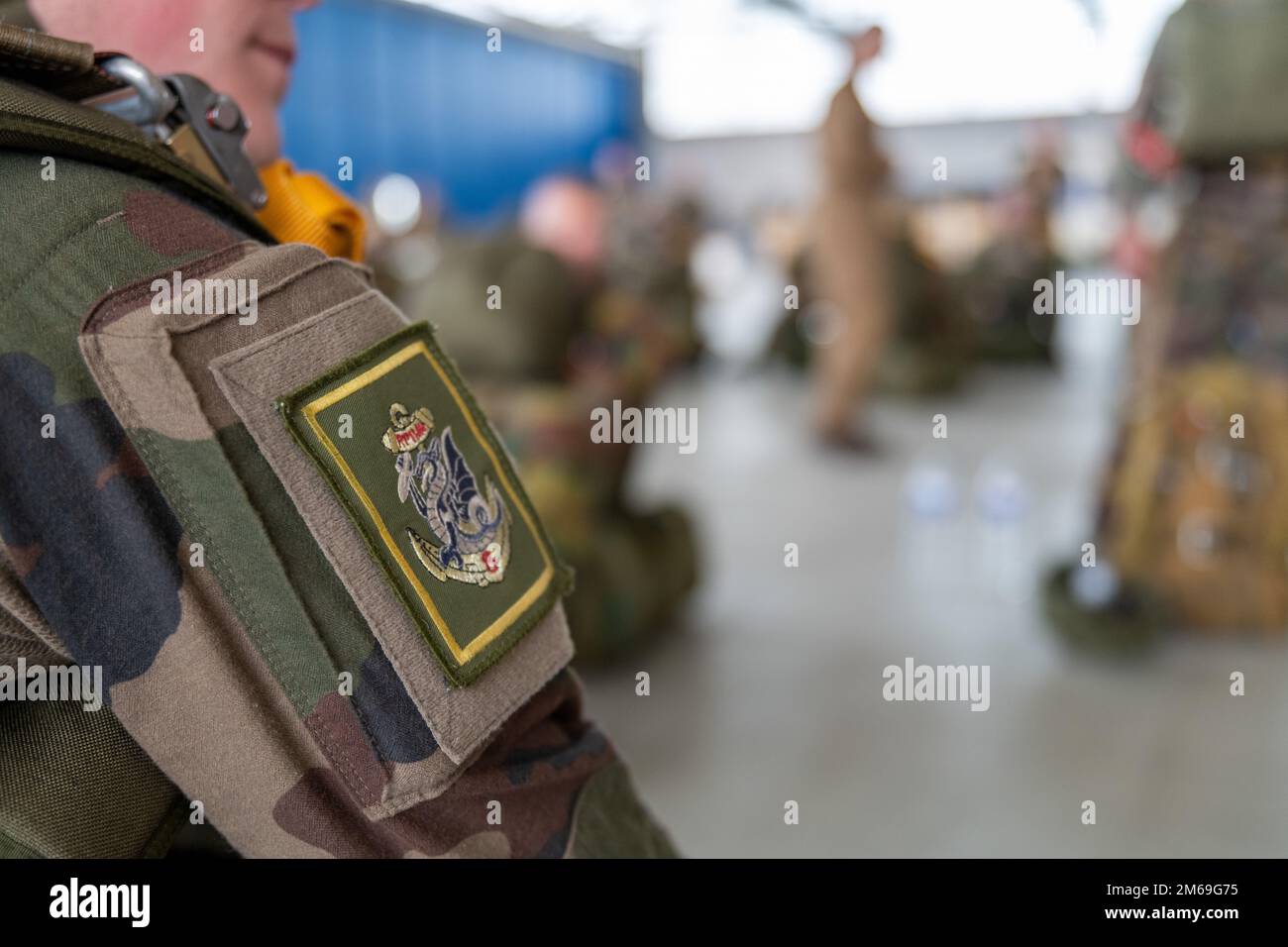 View of the shoulder patch of the 8th Marine Infantry Paratroopers ...