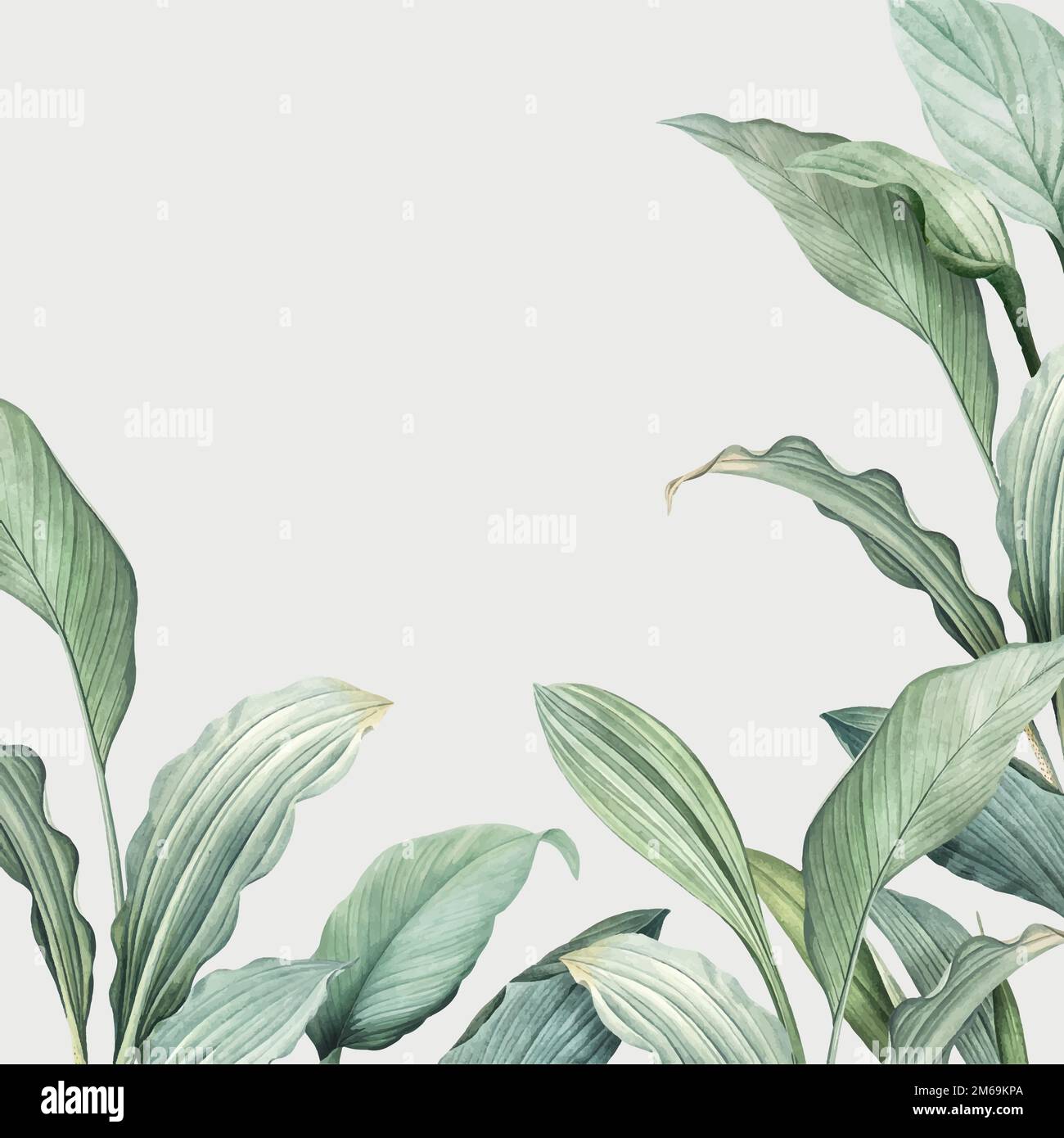 Hand drawn tropical leaves on a white background vector Stock Vector