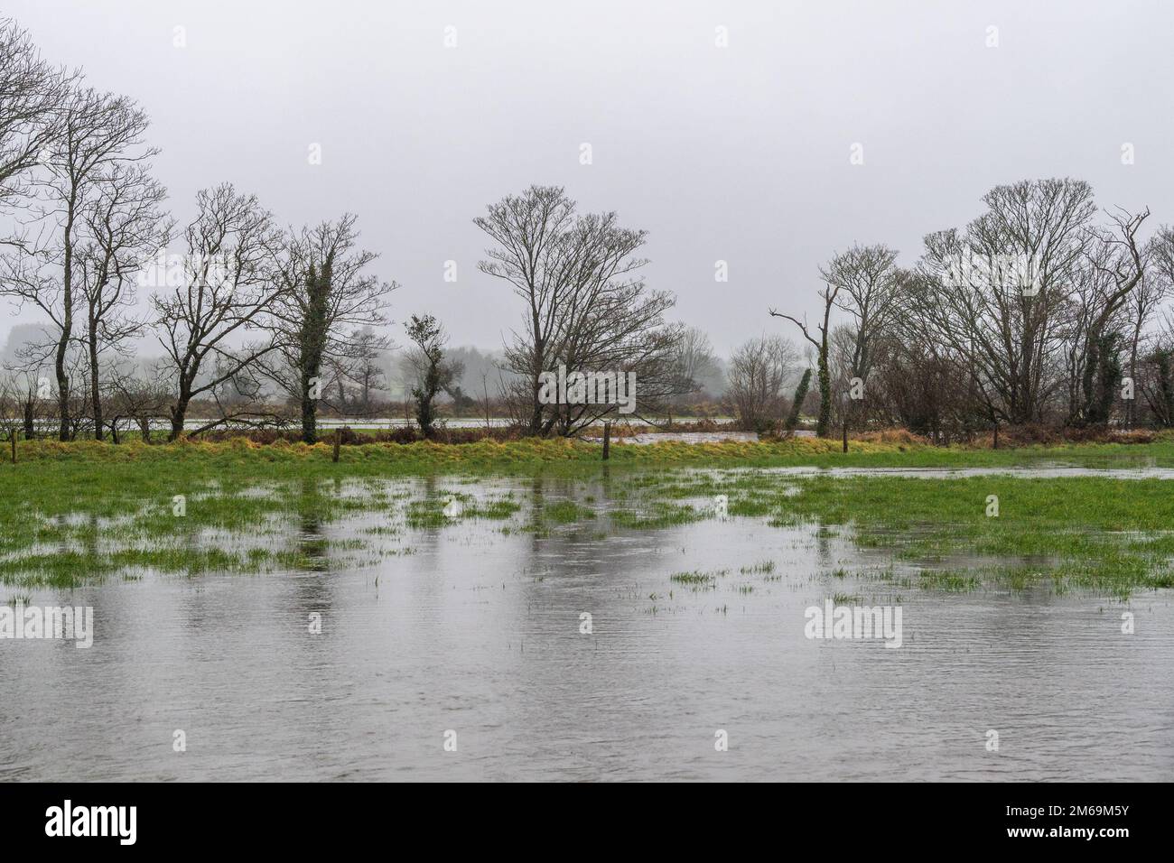 Clonakilty, West Cork, Ireland. 3rd Jan, 2023. After days of relatively dry weather, torrential rain fell on West Cork today, causing spot flooding. The River Ilen burst its banks near Caheragh, causing farmers fields to flood. Credit: AG News/Alamy Live News Stock Photo