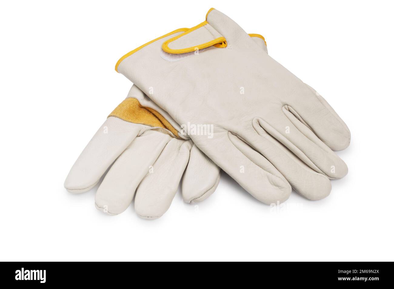 Studio shot of a pair of new leather gardening gloves cut out against a white background - John Gollop Stock Photo