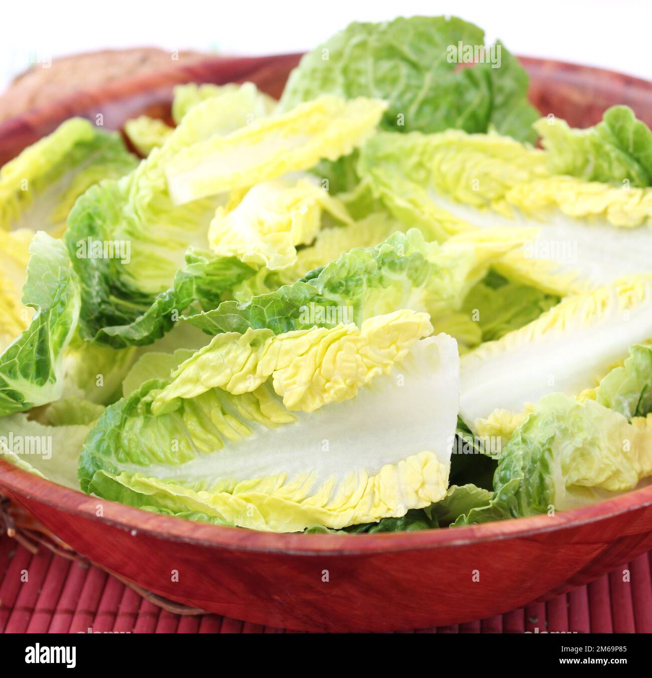 Green leaf lettuce Stock Photo