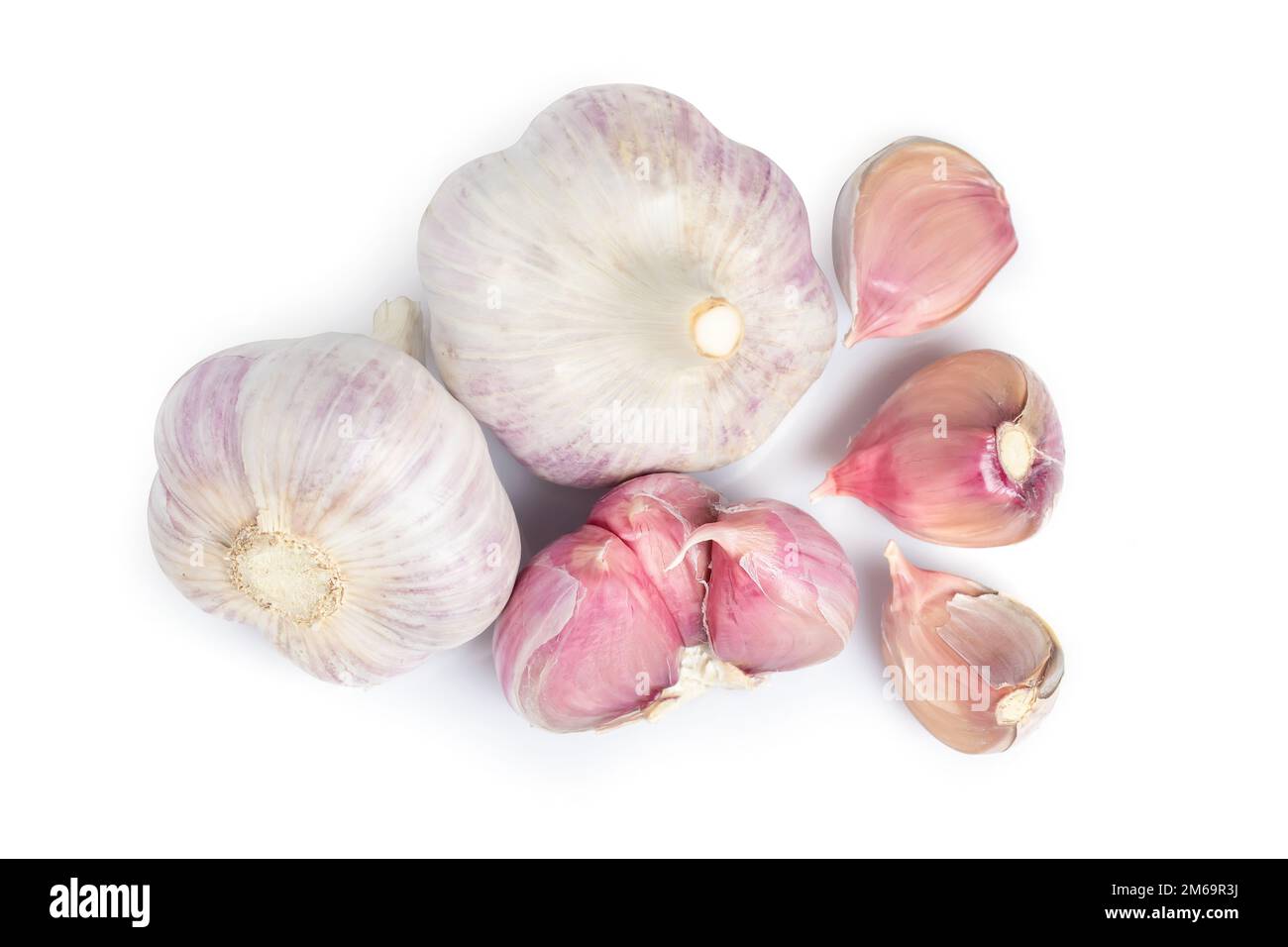 Garlic clove and bulb isolated on white background Stock Photo - Alamy